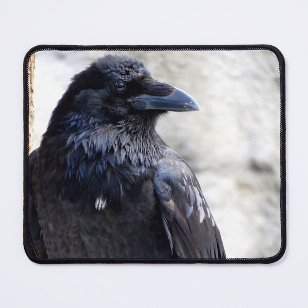 Item preview, Perching Raven designed and sold by sharkbait83.