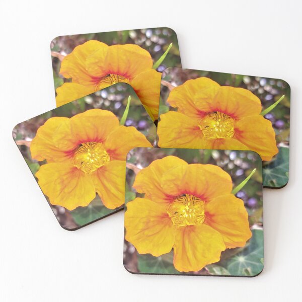 Item preview, Orange flower from montazah garden designed and sold by sadeek1021953Ss.