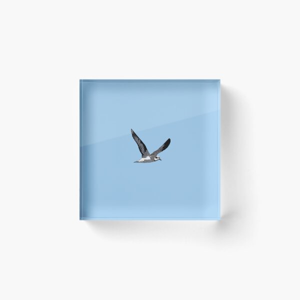 Item preview, Soft Plumaged Petrel Color Design  designed and sold by designsasstultd.