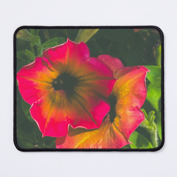 Item preview, Petunia designed and sold by abramichellemorris.