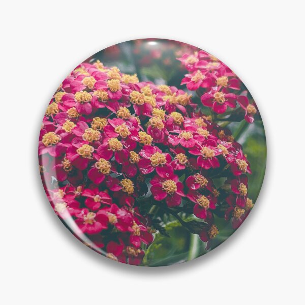 Item preview, Yarrow designed and sold by abramichellemorris.