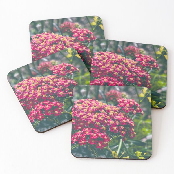 Item preview, Yarrow designed and sold by abramichellemorris.