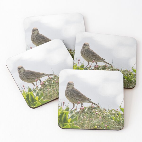 Item preview, Rock Pipit designed and sold by LaurenTucker.