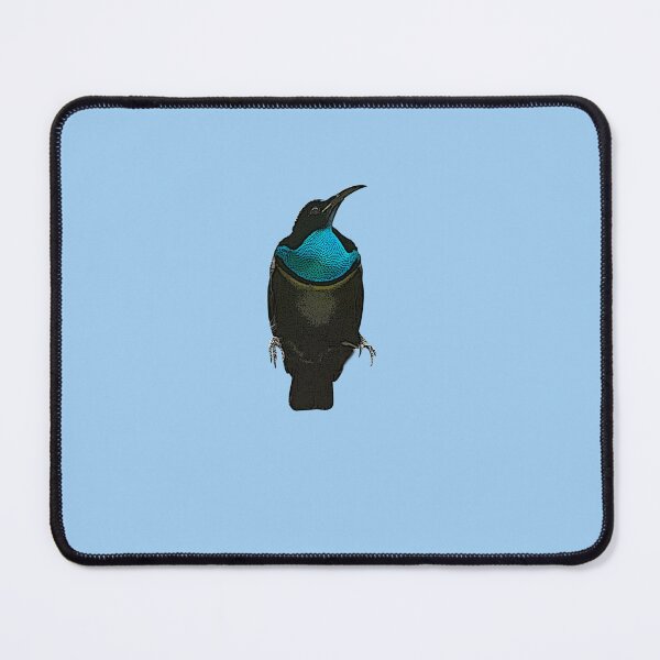 Item preview, Magnificent Riflebird Color Design designed and sold by designsasstultd.