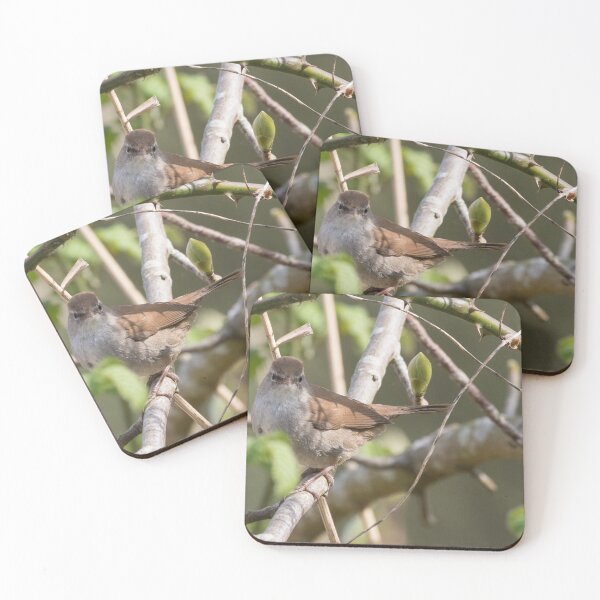 Item preview, Cetti's Warbler designed and sold by LaurenTucker.