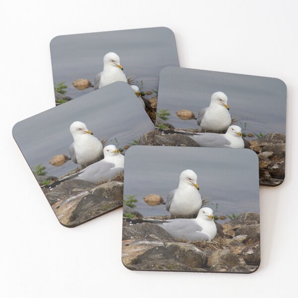 Item preview, Nesting Gulls designed and sold by vernonite.