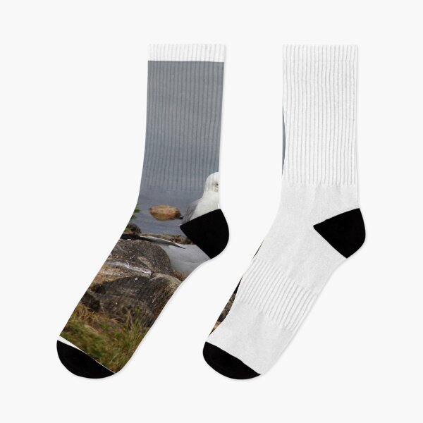 Item preview, Nesting Gulls designed and sold by vernonite.