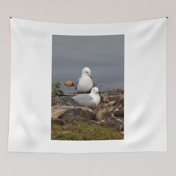 Item preview, Nesting Gulls designed and sold by vernonite.