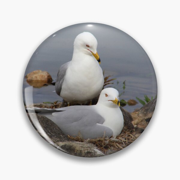 Item preview, Nesting Gulls designed and sold by vernonite.
