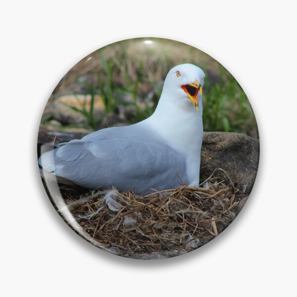 Item preview, Nesting gull protecting her nest designed and sold by vernonite.