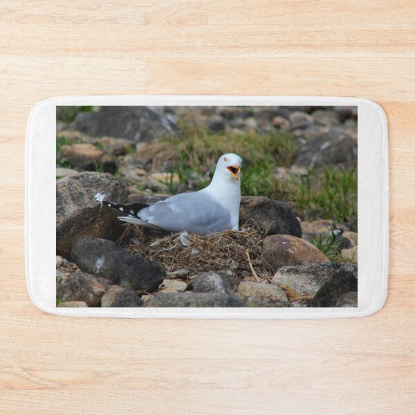 Item preview, Nesting gull protecting her nest designed and sold by vernonite.