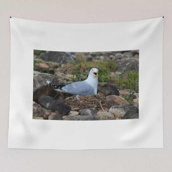 Item preview, Nesting gull protecting her nest designed and sold by vernonite.