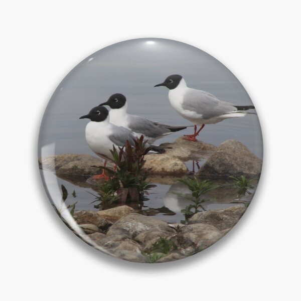 Item preview, Variety of Water birds designed and sold by vernonite.