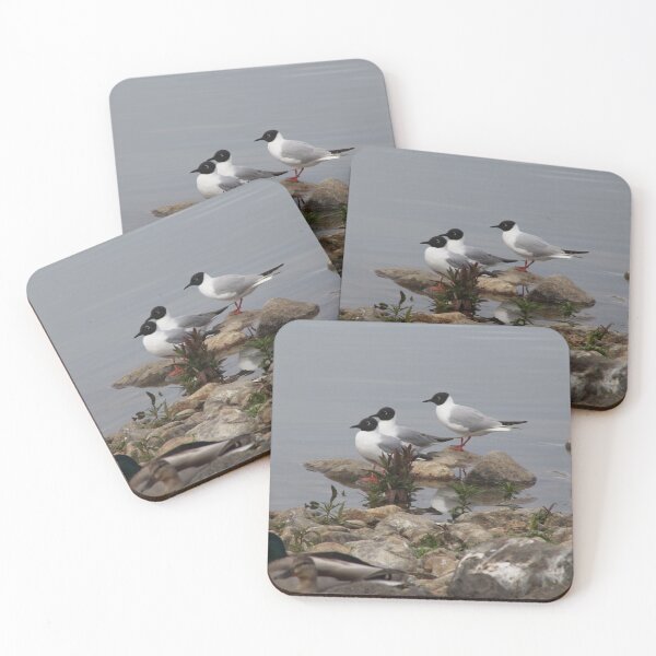 Item preview, Variety of Water birds designed and sold by vernonite.