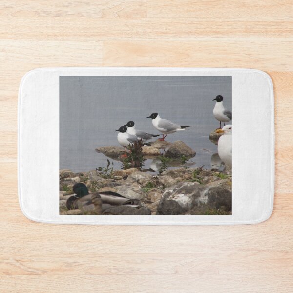 Item preview, Variety of Water birds designed and sold by vernonite.