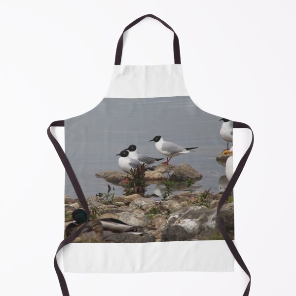 Item preview, Variety of Water birds designed and sold by vernonite.