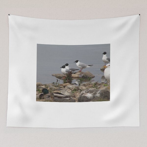 Item preview, Variety of Water birds designed and sold by vernonite.
