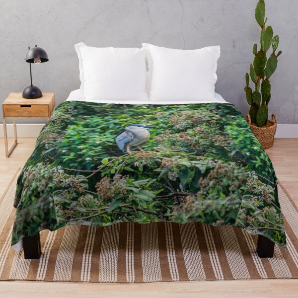 Item preview, Black crowned night heron in Honolulu 2 designed and sold by KensLensDesigns.
