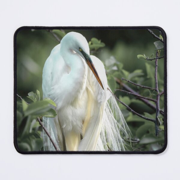 Item preview, Elegant Great White Egret designed and sold by Rebecca Herranen.