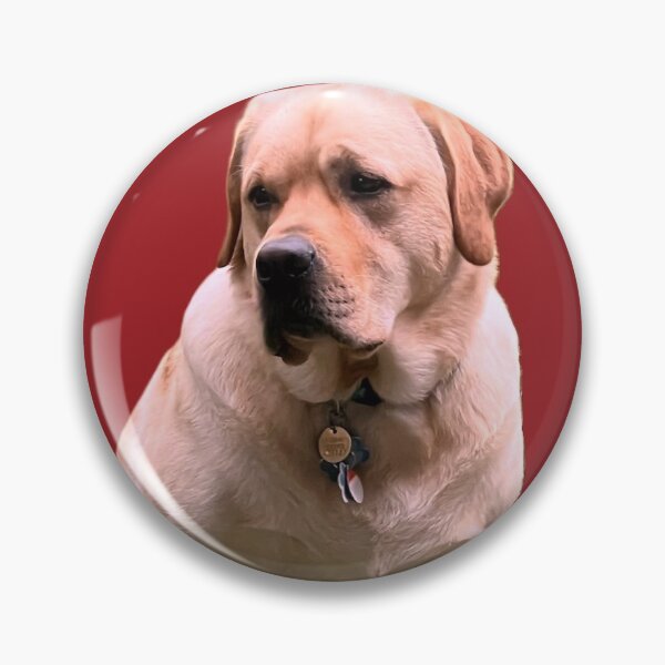 Item preview, Tobi, the most adorable golden Retriver designed and sold by corichard.