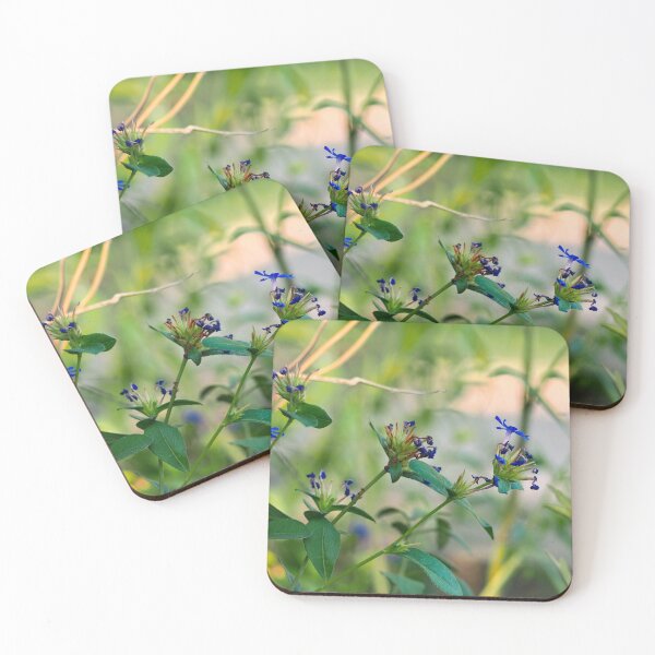 Item preview, Serene garden  designed and sold by Lillyjoyphoto.
