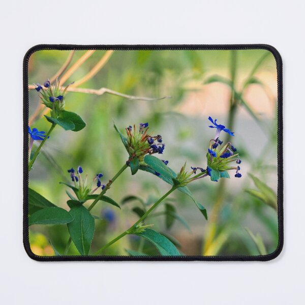 Item preview, Serene garden designed and sold by Lillyjoyphoto.