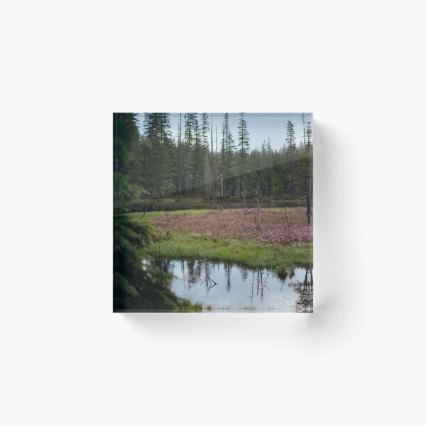 Item preview, Alpine pond designed and sold by millivedder.