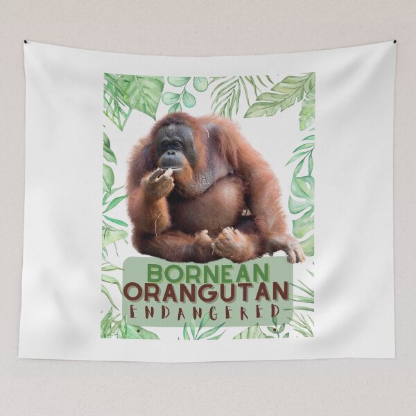 Item preview, Bornean Orangutan designed and sold by TemboDreams.