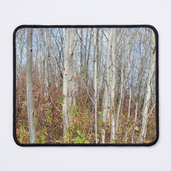 Item preview, Autumn Saplings designed and sold by Kathleen Brant.