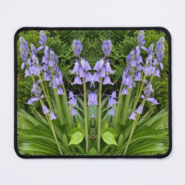 Item preview, Bluebells designed and sold by Amanda1775.