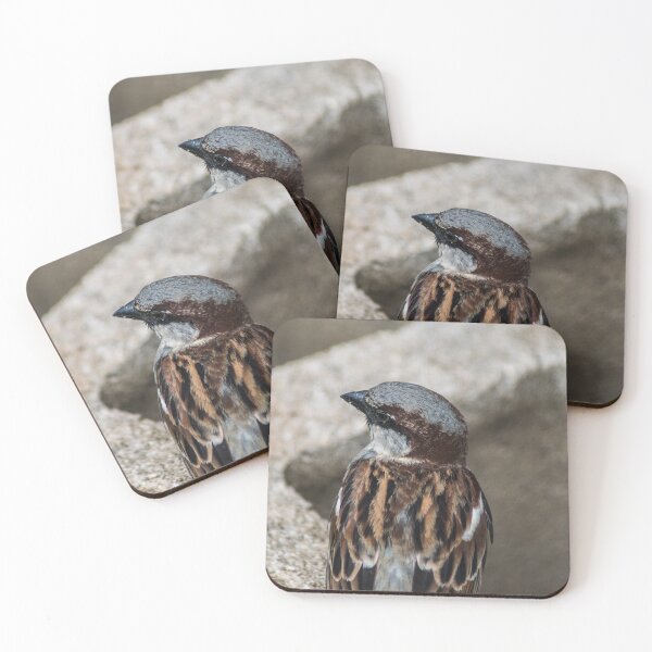 Item preview, House sparrow sing designed and sold by KensLensDesigns.