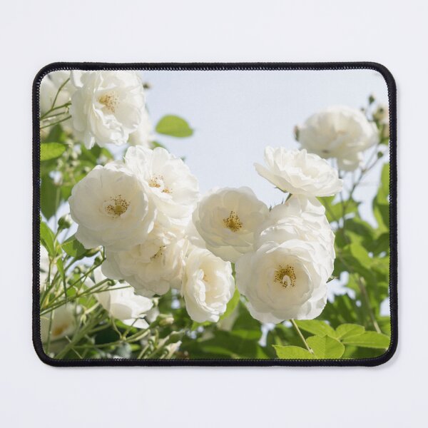 Item preview, Bridal White Roses designed and sold by Georgia Mizuleva.