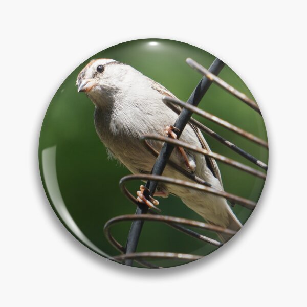 Item preview, Bird on a Wire designed and sold by corichard.