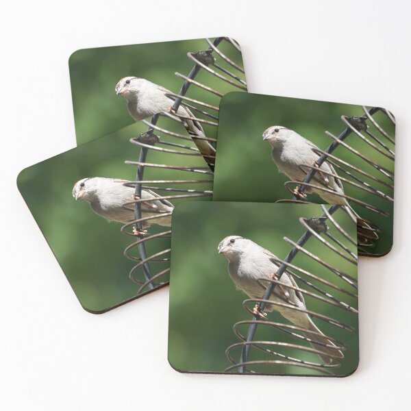 Item preview, Bird on a Wire designed and sold by corichard.