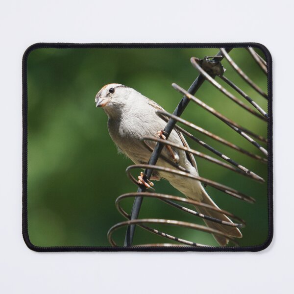 Item preview, Bird on a Wire designed and sold by corichard.