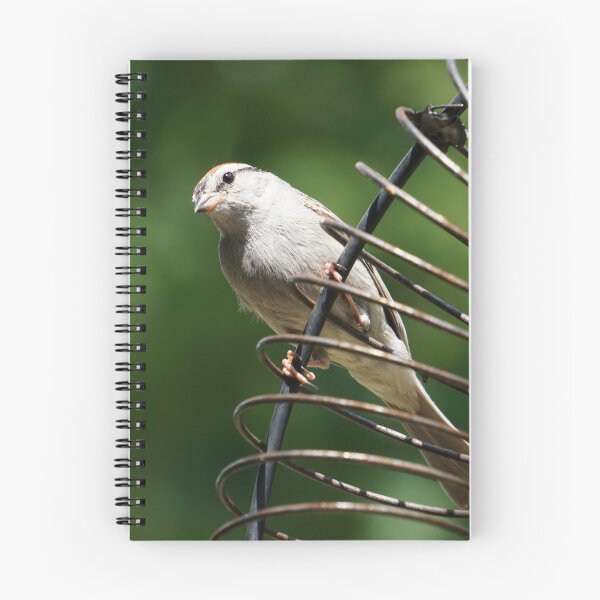 Item preview, Bird on a Wire designed and sold by corichard.
