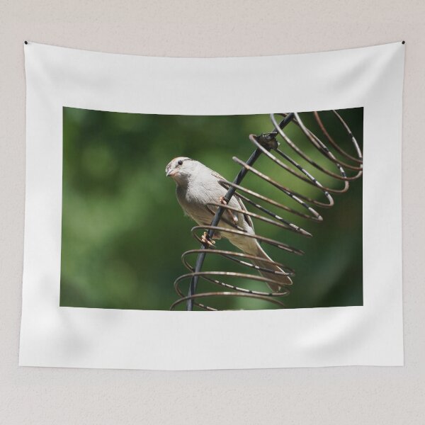 Item preview, Bird on a Wire designed and sold by corichard.