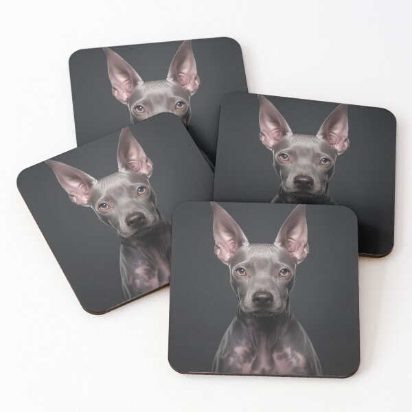 Item preview, American Hairless Terrier designed and sold by Samuelsboro.