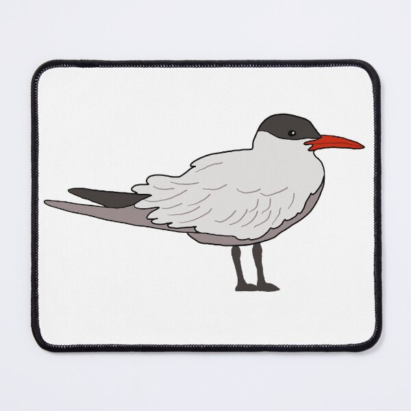Item preview, Caspian Tern designed and sold by CoastalCaptures.
