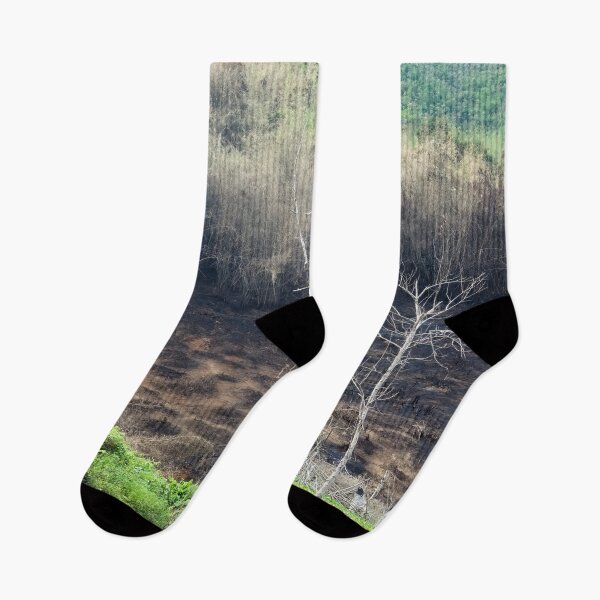 Item preview, The Renaissance of the Land: Bringing Back Life to Burnt Fields in Laos designed and sold by franck380.