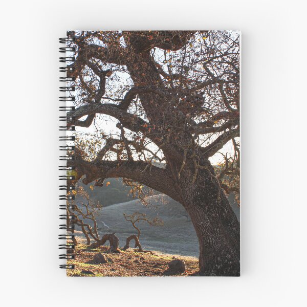 Item preview, Twisted Roots - Gilroy, California Tree  designed and sold by bayviewmedia.
