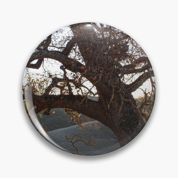 Item preview, Twisted Roots - Gilroy, California Tree  designed and sold by bayviewmedia.