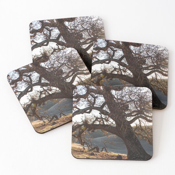 Item preview, Twisted Roots - Gilroy, California Tree  designed and sold by bayviewmedia.
