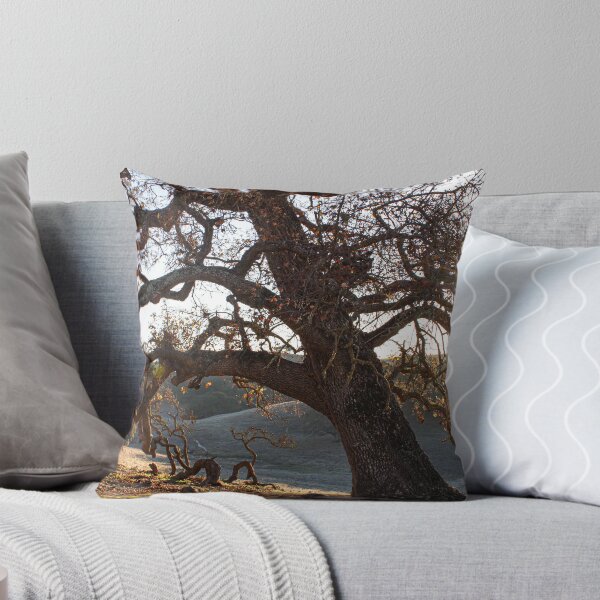 Item preview, Twisted Roots - Gilroy, California Tree  designed and sold by bayviewmedia.
