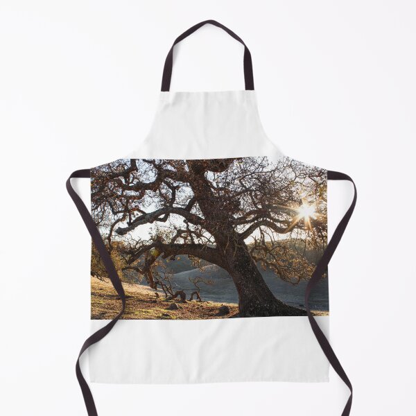 Item preview, Twisted Roots - Gilroy, California Tree  designed and sold by bayviewmedia.