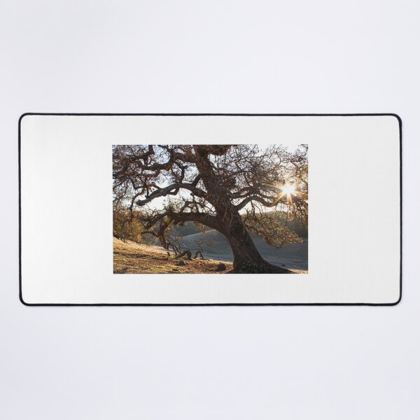 Item preview, Twisted Roots - Gilroy, California Tree  designed and sold by bayviewmedia.