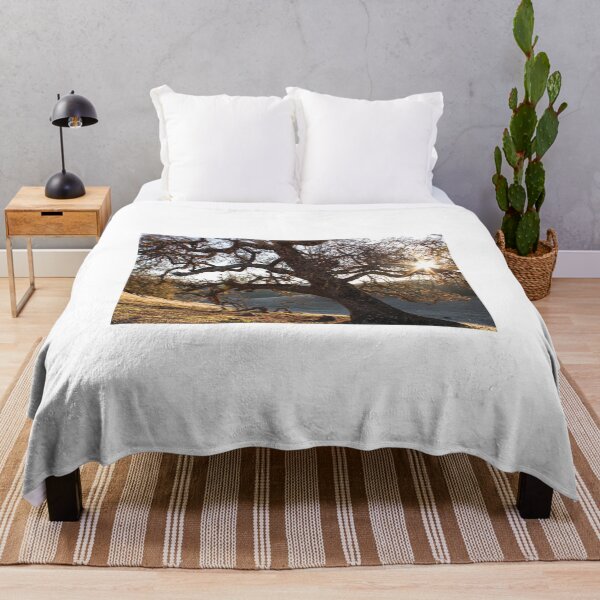 Item preview, Twisted Roots - Gilroy, California Tree designed and sold by bayviewmedia.