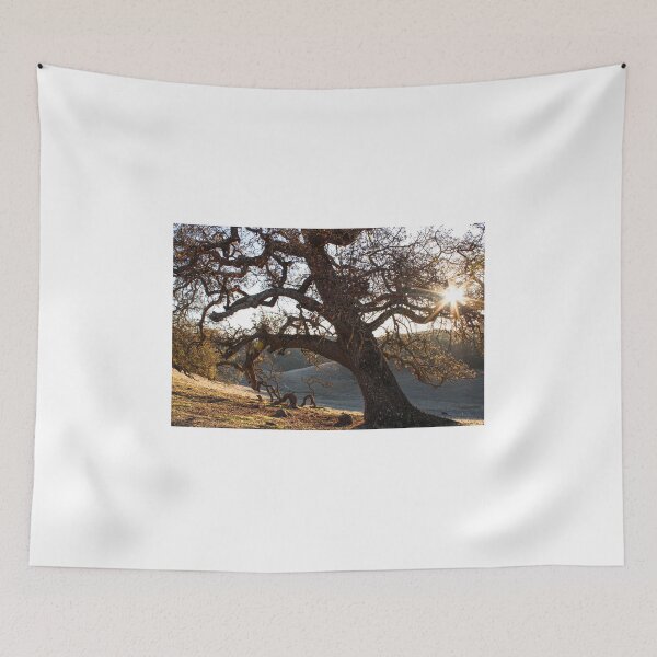 Item preview, Twisted Roots - Gilroy, California Tree  designed and sold by bayviewmedia.