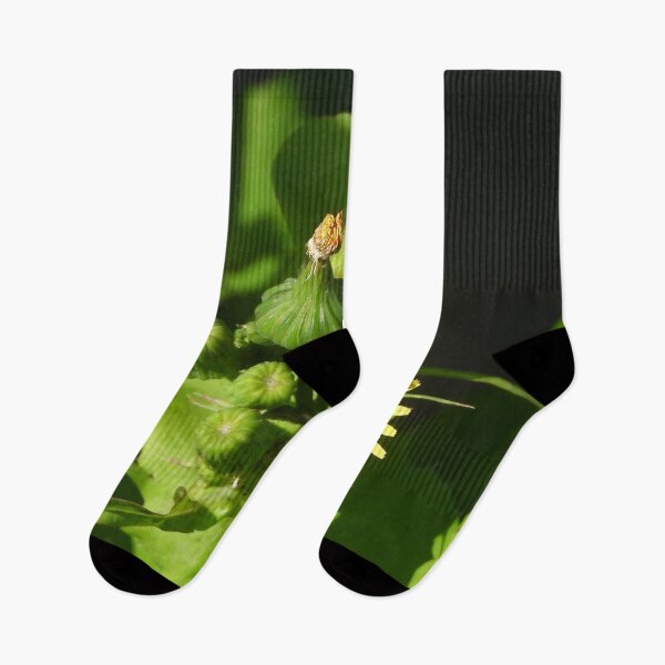 Item preview, Dandelion growing wild designed and sold by Jenny  Dyer.