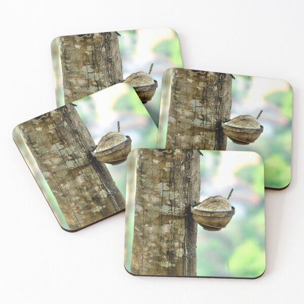 Item preview, Renewable Resource: The Hevea Forests of Laos designed and sold by franck380.